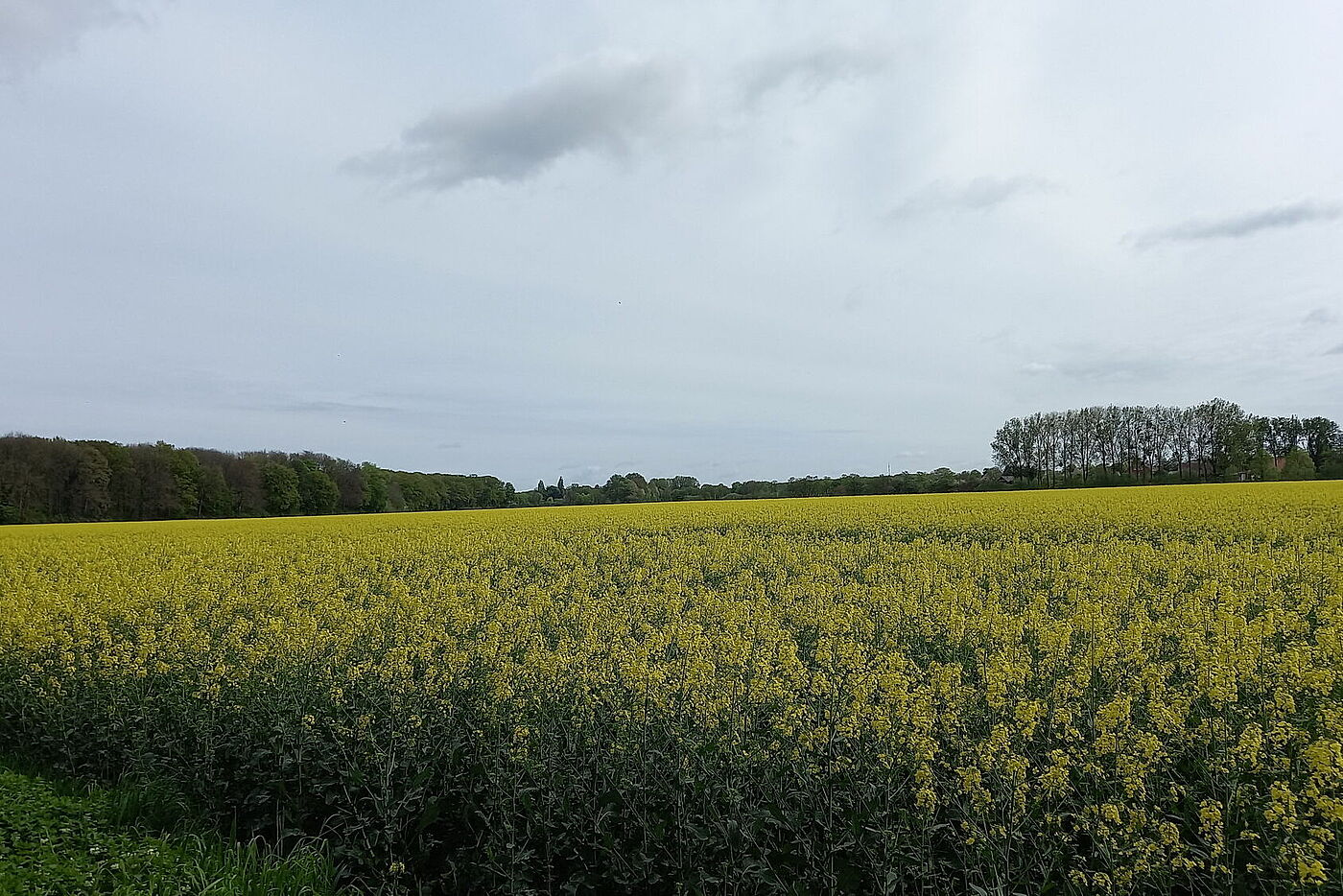 240414 3 Flüssetour