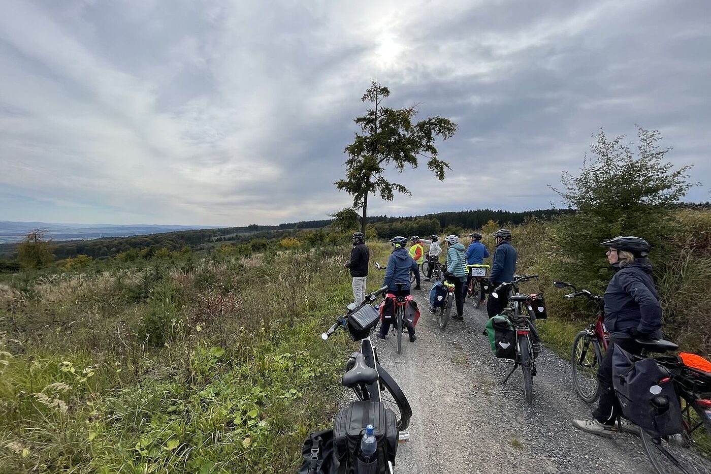 251003 Hohenstein_MTB 0008