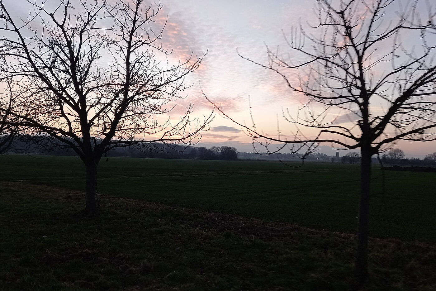 251213 Lindener Berg 0006